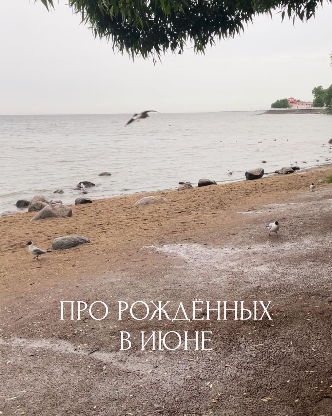 Про рожденных в июне